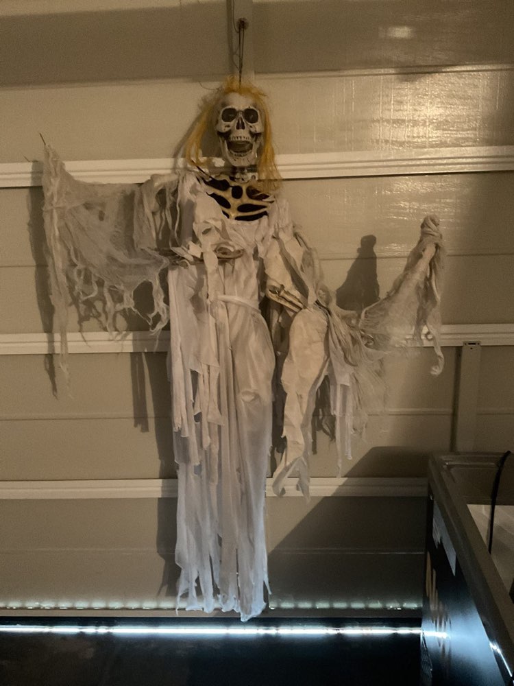 Skelett in wei&szlig; mit Leuchtaugen &mdash; Halloween-Dekofigur zur Miete