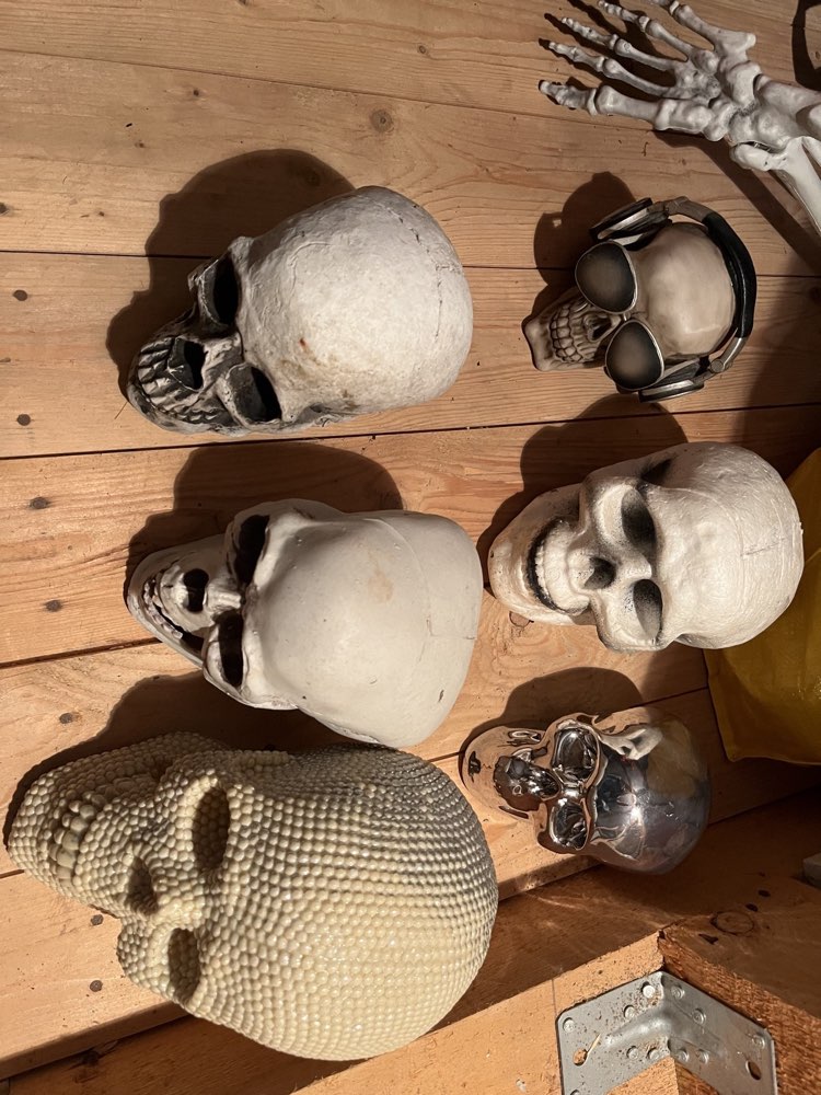 Sch&auml;del, diverse &mdash; Halloween-Deko zur Miete