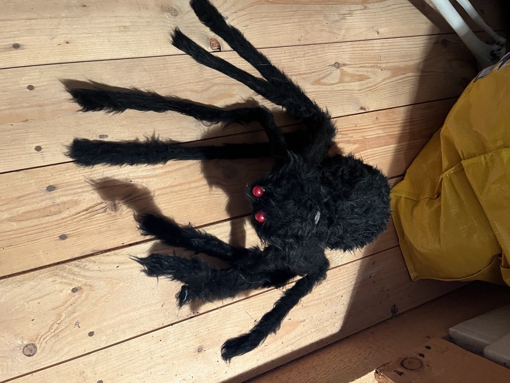 Riesenspinne &mdash; Halloween-Deko zur Miete